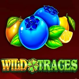 Play the Wild Traces slot by Amusnet Interactive on Betrepublic Casino